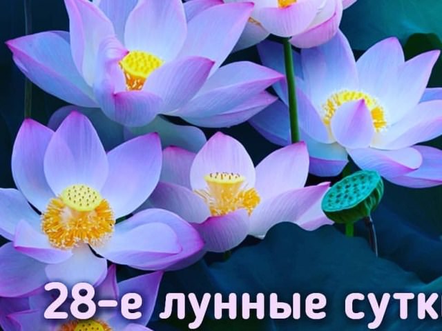 28 лунный день — полная характеристика в разных сферах жизни, приметы, энергетика