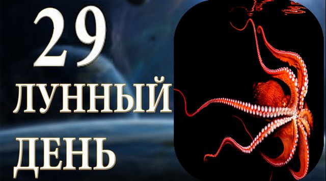 29 лунный день — полная характеристика в разных сферах жизни, приметы, энергетика