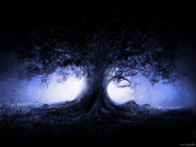 4 лунный день — полная характеристика в разных сферах жизни, приметы, энергетика