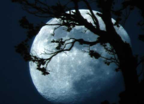 5 лунный день — полная характеристика в разных сферах жизни, приметы, энергетика