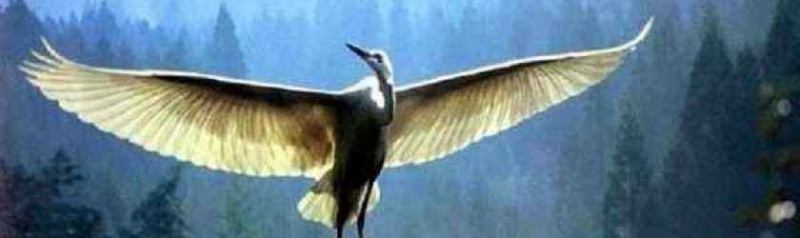 6 лунный день — полная характеристика в разных сферах жизни, приметы, энергетика