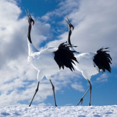 6 лунный день — полная характеристика в разных сферах жизни, приметы, энергетика