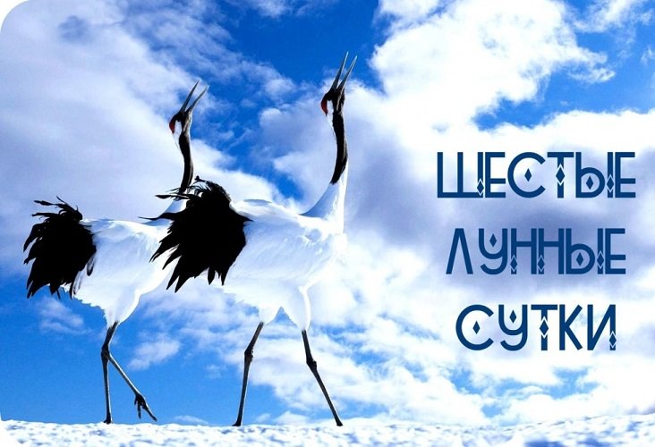6 лунный день — полная характеристика в разных сферах жизни, приметы, энергетика