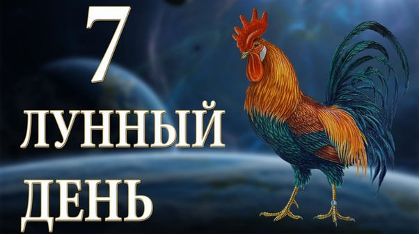 7 лунный день: характеристика седьмых лунных суток