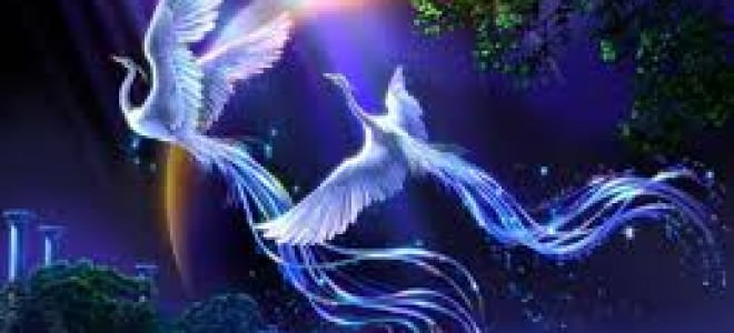 7 лунный день: характеристика седьмых лунных суток