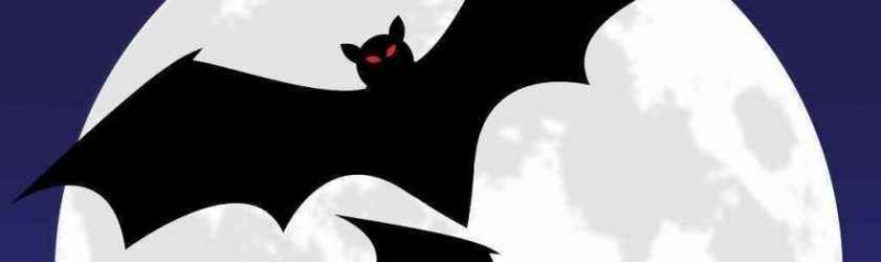 9 лунный день — характеристика девятых лунных суток