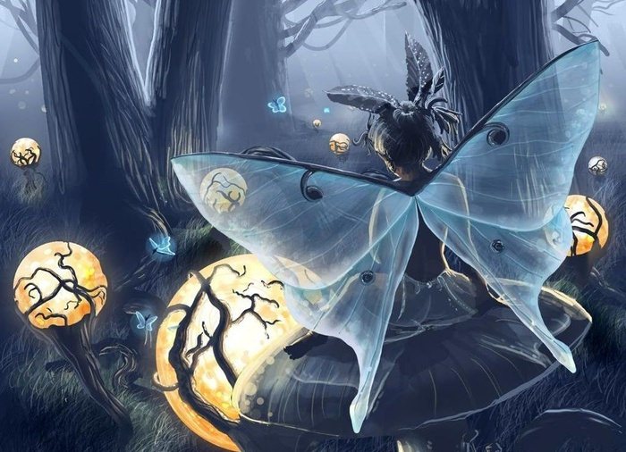 9 лунный день — характеристика девятых лунных суток