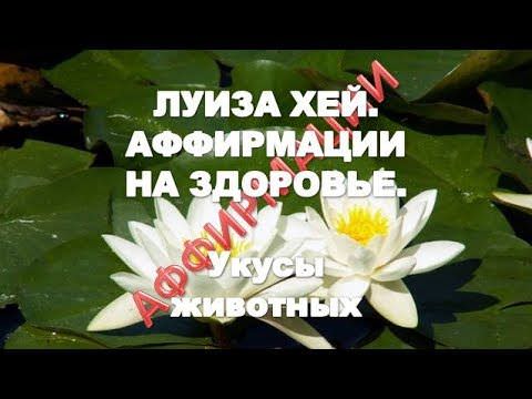 Аффирмации для мужчин — рекомендации и советы