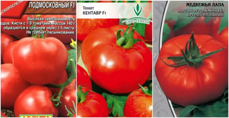 Актуальный вопрос: почему помидоры трескаются?