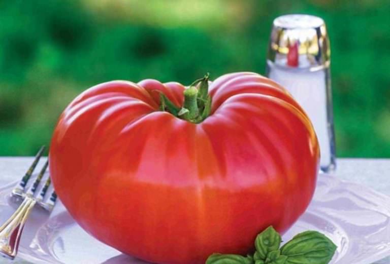 Актуальный вопрос: почему помидоры трескаются?