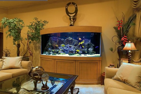 Аквариум по фен шуй в квартире — как усилить энергию воды в доме