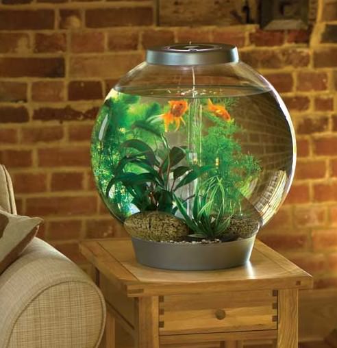 Аквариум по фен шуй в квартире — как усилить энергию воды в доме