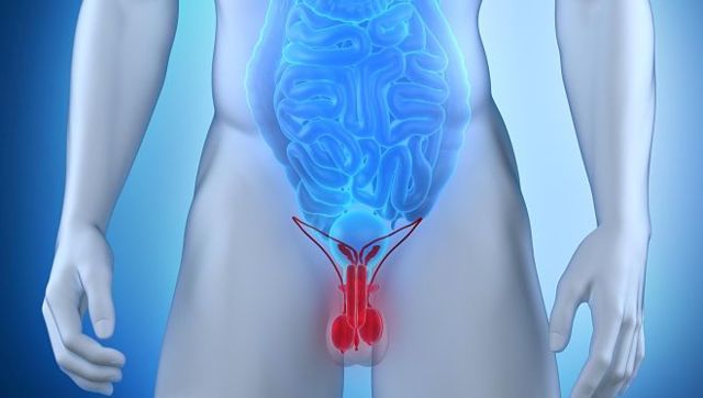 Армия при варикоцеле (1,2,3, степени): отсрочка после операции, служба с заболеванием, обучение на военной кафедре