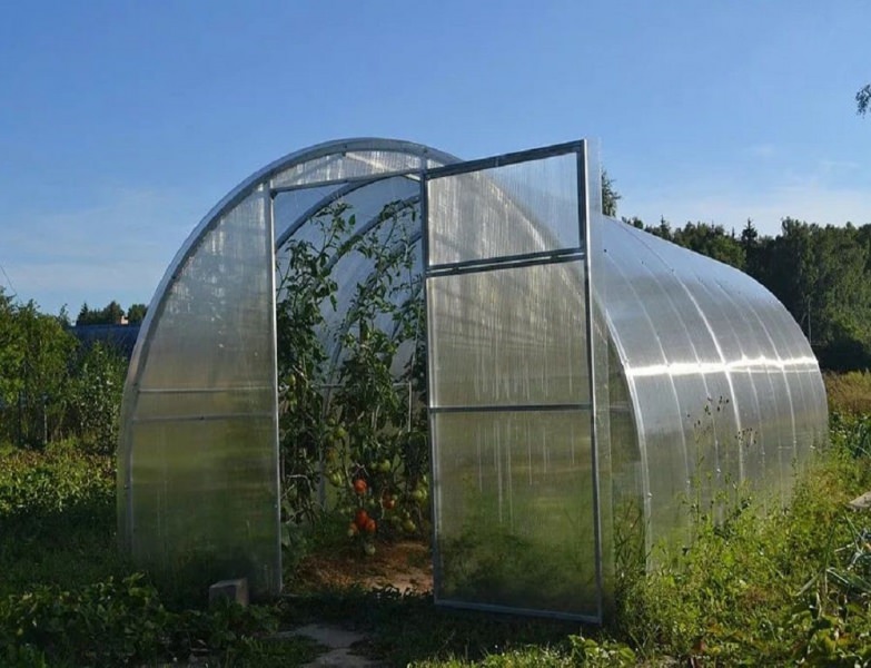 Арочная теплица радуга: характеристика и достоинства