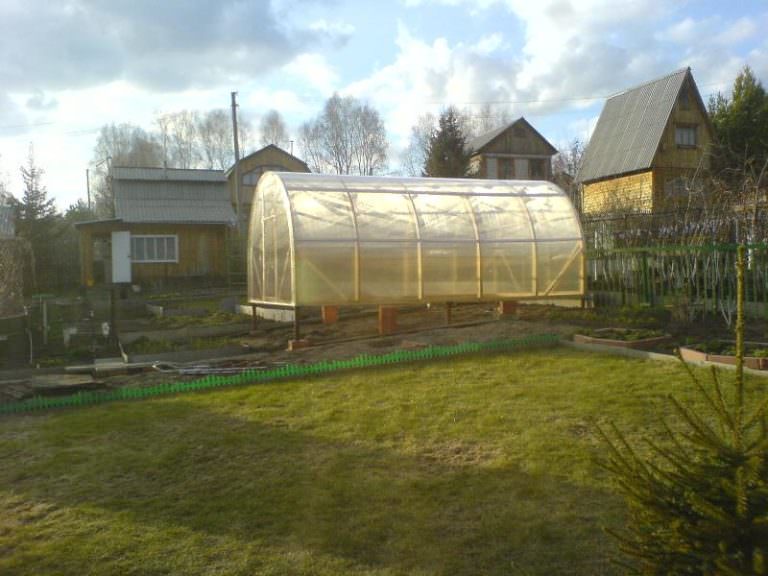 Арочная теплица радуга: характеристика и достоинства