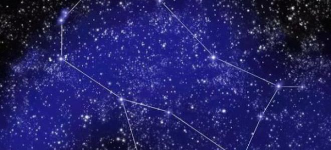 Астрология для начинающих – основные понятия и виды гороскопов