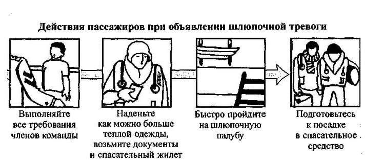 Аварии на автомобильном транспорте: причины и порядок действий