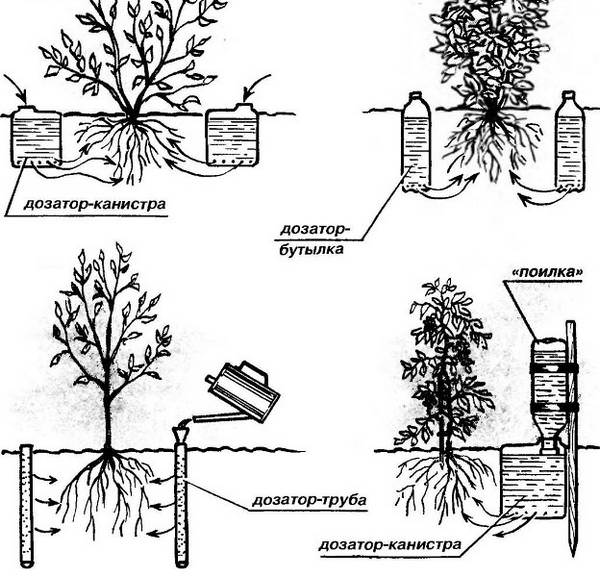 Автоматические системы полива: характеристика разновидностей и варианты самостоятельного изготовления