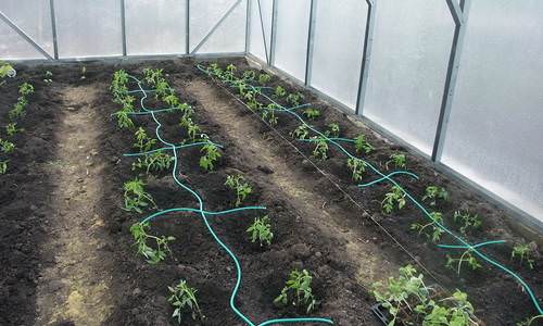 Автоматические системы полива: характеристика разновидностей и варианты самостоятельного изготовления