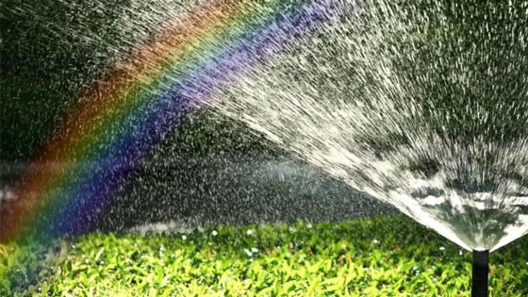 Автоматические системы полива: характеристика разновидностей и варианты самостоятельного изготовления