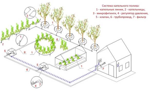 Автоматические системы полива: характеристика разновидностей и варианты самостоятельного изготовления