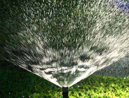 Автоматический полив: характеристика видов и особенности самостоятельного обустройства