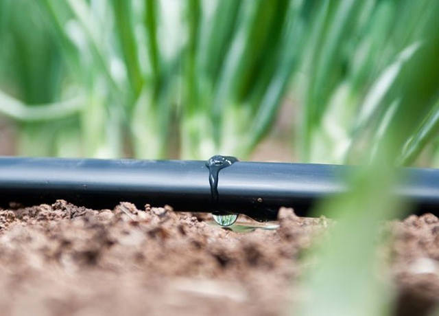 Автоматический полив: характеристика видов и особенности самостоятельного обустройства