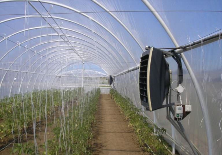 Автоматическое регулирование температуры в теплице: характеристика способов и правила эксплуатации