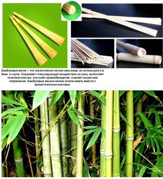 Бамбуковые веники для бани: как пользоваться массажным веником из бамбука – всё о банях