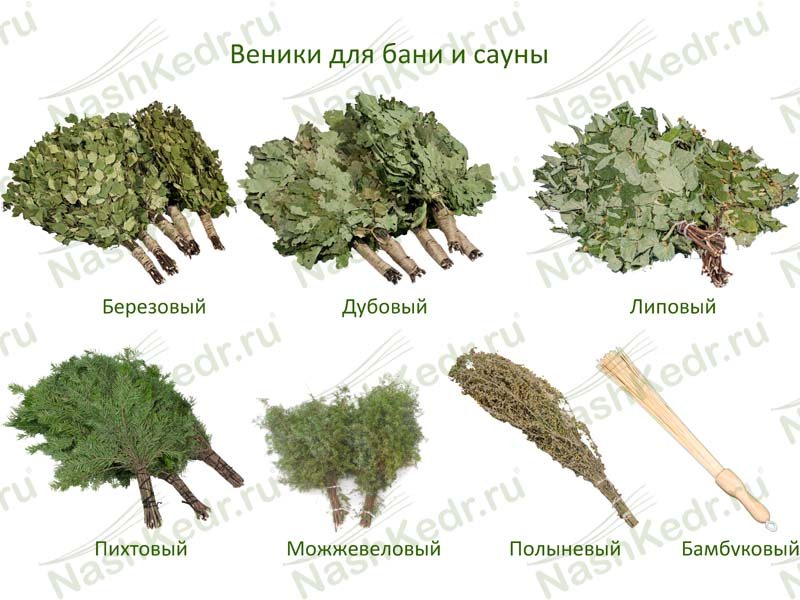 Бамбуковые веники для бани: как пользоваться массажным веником из бамбука – всё о банях