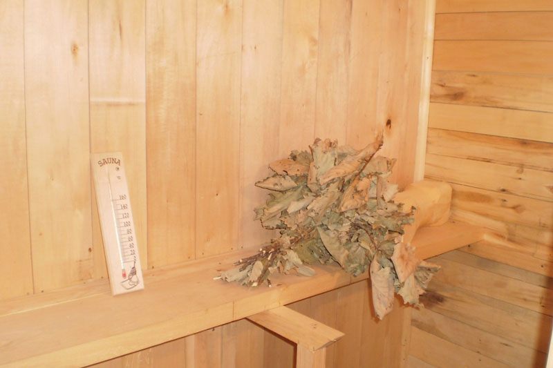 Бани: польза и противопоказания для здоровья и организма, чем полезна русская парилка, как париться, вред парной, эффект – всё о банях