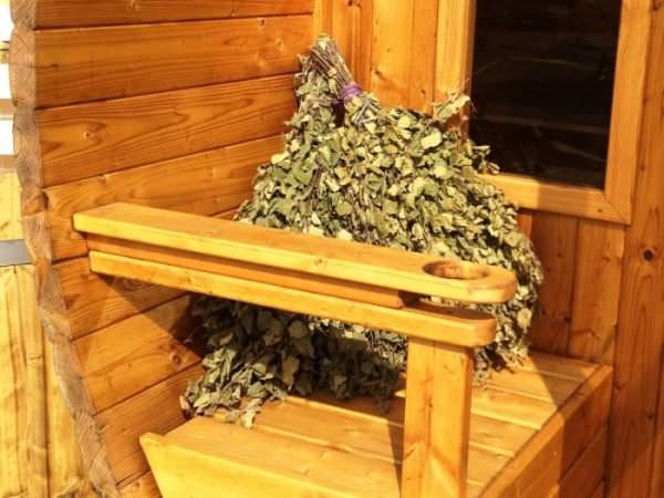 Баня и остеохондроз: лечимся горячим паром и веником – всё о банях