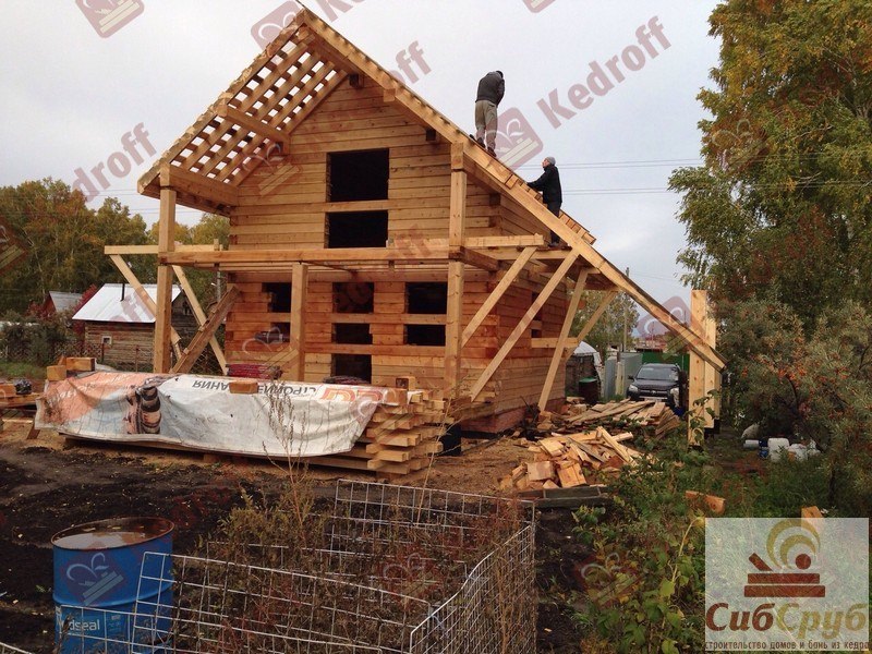 Баня из кедра: особенности материала и монтажа – всё о банях