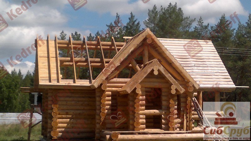 Баня из кедра: особенности материала и монтажа – всё о банях