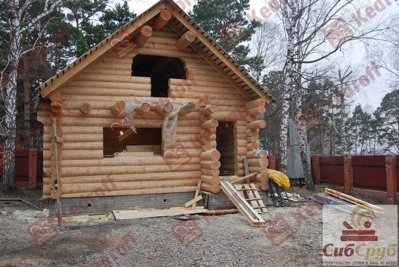Баня из кедра: особенности материала и монтажа – всё о банях