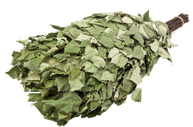 Банные веники: какие веники для бани бывают, особенности заготовки и хранения – всё о банях