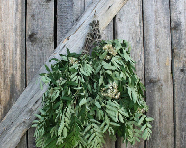 Банные веники: какие веники для бани бывают, особенности заготовки и хранения – всё о банях
