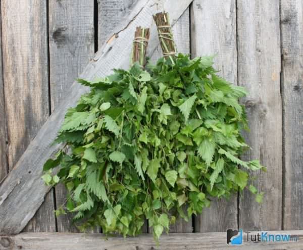 Банные веники – особенности выбора и изготовления – всё о банях