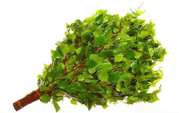 Банные веники – особенности выбора и изготовления – всё о банях