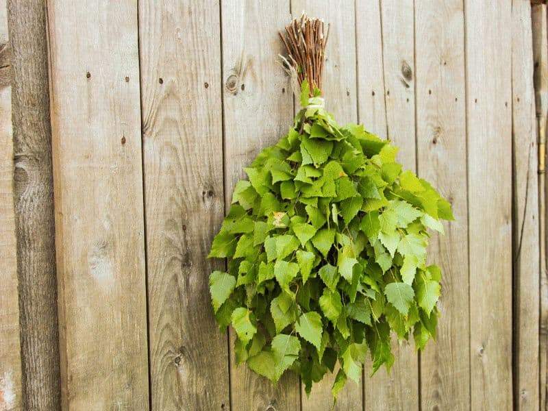 Банный веник: его магические свойства и приметы