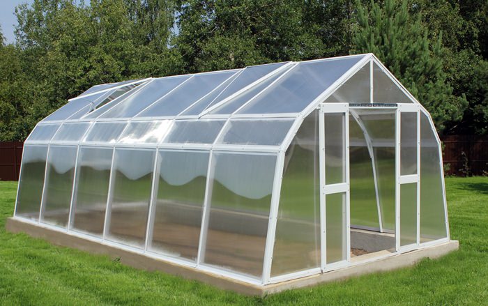 Березка: достоинства усиленной теплицы мансардного типа