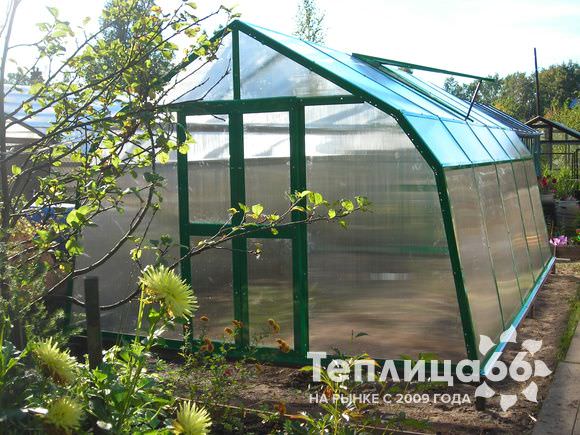 Березка: достоинства усиленной теплицы мансардного типа