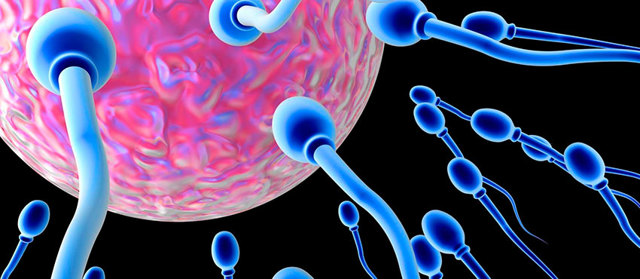 Бесплодие при варикоцеле: причины, лечение и можно ли забеременеть