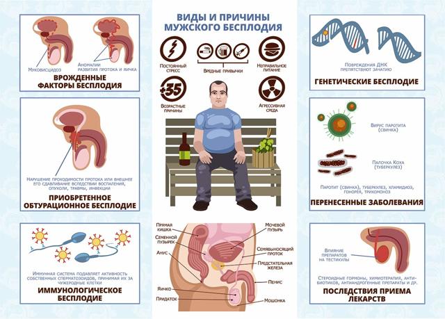 Бесплодие при варикоцеле: причины, лечение и можно ли забеременеть