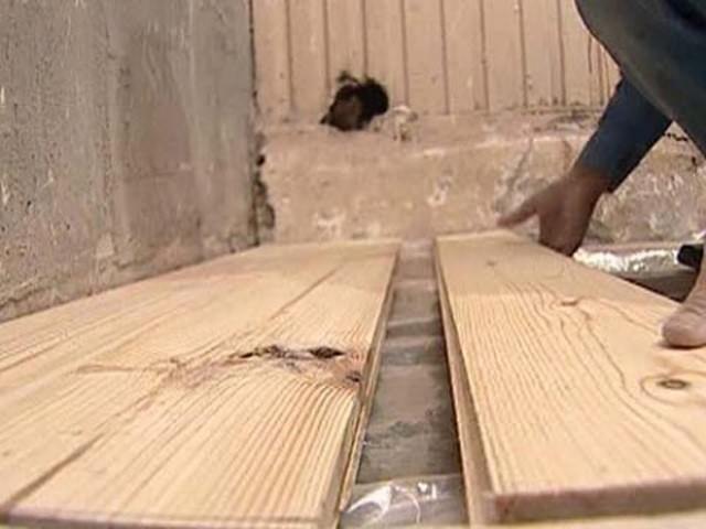 Бетонная стяжка на деревянный пол: как правильно работать с основанием из дерева? – всё о банях