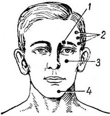 Болевые точки на теле человека — как обезвредить за секунду