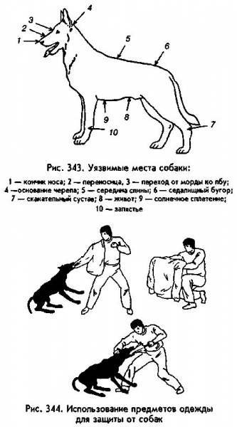 Болевые точки на теле человека — как обезвредить за секунду