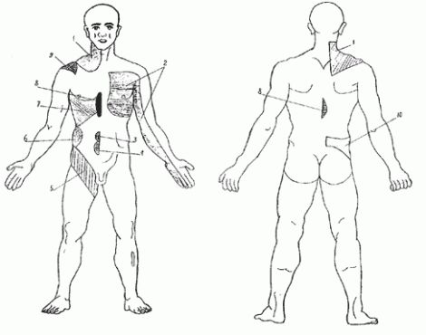 Болевые точки на теле человека — как обезвредить за секунду