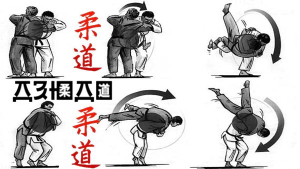 Броски и приемы дзюдо для начинающих и продвинутых видеоинструкция