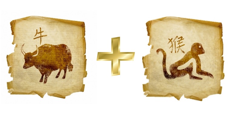 Бык и обезьяна — совместимость мужчины и женщины в любви